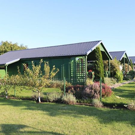 Domki Green Grzybowo Grzybowo  Dış mekan fotoğraf